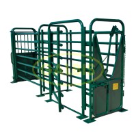 Mangada Vacuno 4 m Con Puertas y Puerta Lateral Pintada Verde
