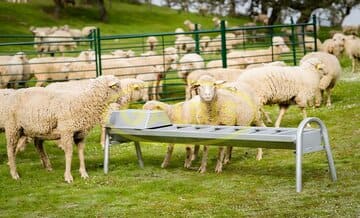 Bebederos para ganado y animales de compañía, material indispensable en verano